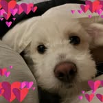 Stacy Jacobsen - @stacelfrank - Instagram