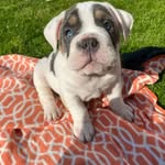 Stacy Jayne - @enzoosadventures - Instagram