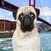 Stacey Keech - Facebook