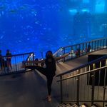 Stacy Kessler - @despicablestace - Instagram