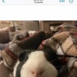 Stacy Kirchner - @kirchner9535 - Instagram