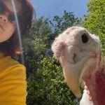 Stacy Knorr - @pieriejfk - Instagram