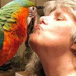 Stacey Lackey - @stacey.lackey - Instagram