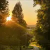 Stacy Lafferty - @stacy.lafferty2 - TikTok