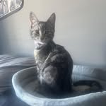 Stacey Laroche - @auntie.mom.2011 - Instagram