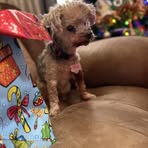 Stacy Larson - Facebook