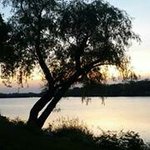 Stacy Larson - @larsonstacy - Instagram