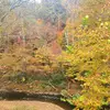 Staci Lassiter - @mykid3784 - TikTok