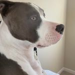 Stacy Lawrence - @stacy_lawrence - Instagram