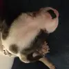 Stacy Lawrence - @stacy.lawrence08 - TikTok
