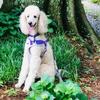 Stacy_lemonsherberts - @stacy_lemonsherberts - TikTok