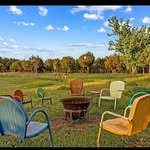 Stacy Levin - @lazybirdfarm - Instagram