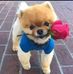 Stacy Levine - Facebook