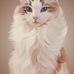 Stacy Lively - Facebook