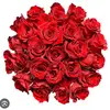 Stacy Lund - @stacy.lund3 - TikTok