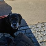 Stacey Mackay - @harajuku80 - Instagram
