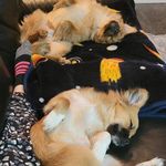 Stacy Mackay - @stacy.mackay.33 - Instagram