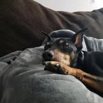 Stacy MacLean - @stacymac12345 - Instagram