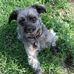 Stacy Malmgren - Facebook