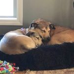 Stacey Mangum Wysock - @staceywysock - Instagram