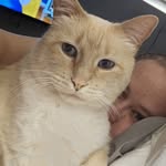 Stacy Mayes - @winturl0ve - Instagram