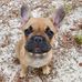 Stacy McDonnell Curci - Facebook