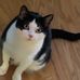 Stacy McGann - Facebook