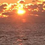 Stacy Mcintire - @armymom9190 - Instagram