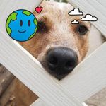 Stacey McNally - @stacey.mcnally.146 - Instagram