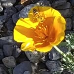 Stacy McNally - @stacymcnally1 - Instagram
