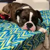 stacy2003meier - @stacy2003meier - TikTok