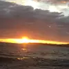 Stacy Meier - @stacy._meier - TikTok