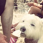 Stacy Morse - @greebalsap - Instagram