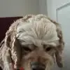 Stacey Mounce - @stacey.mounce - TikTok
