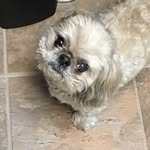 Stacey Mudd - @slm19ukfan - Instagram