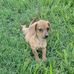 Stacy Murphree - Facebook