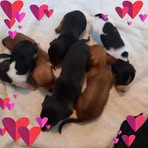 Stacy Murphree - Facebook