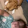 stacy nagle - @stacynagle3 - TikTok