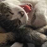 Stacy - @stacy_neel - Instagram