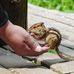 Stacy Neff - Facebook
