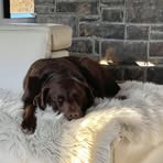 Stacy Neufeld - Facebook