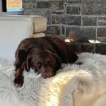 Stacy Neufeld - @stacyneufeldbgrealty - Instagram