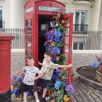 Stacey Ogden - @stacey.oneil.9 - Instagram