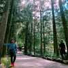Stacy Ong - @stacyong87 - TikTok