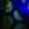stacypadilla1961 - @stacypadilla1961 - TikTok