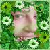 Stacy Parkhurst - Facebook