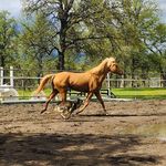 Stacy Parks - @stacy.parks.984786 - Instagram