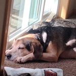 Stacy Goebel Pechacek - @stacy.pechacek - Instagram