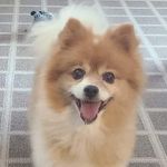 Stacy Wilson Pedersen - @slpwilson8607 - Instagram