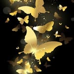Stacy Pedigo - @stacypedug - Instagram